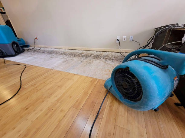 Professional Sewage Cleanup technician working in Marshfield, MO